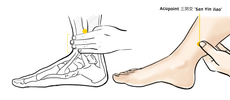 Menopause-San-yin-jiao