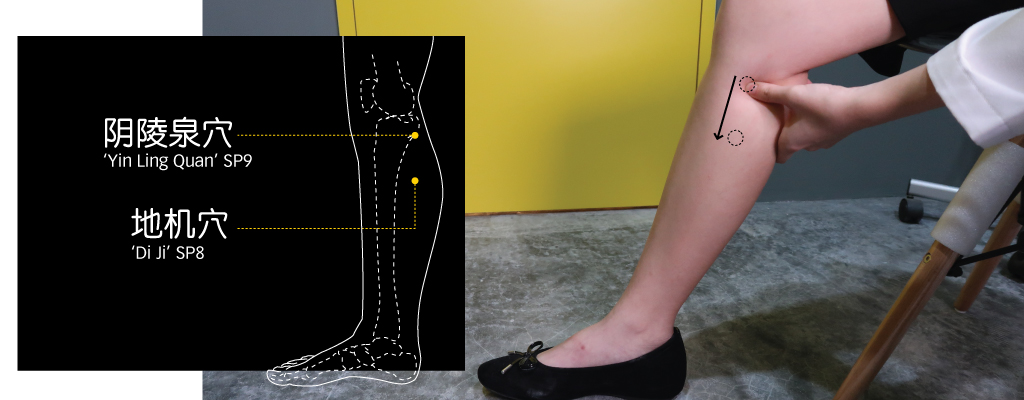 Managing_Cholesterol_with_TCM_7