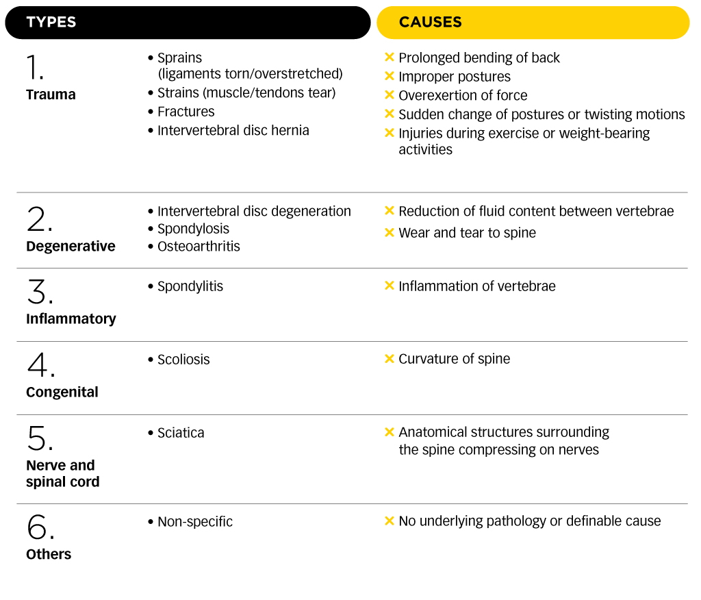 Lower-Back-pain-Management-2-2