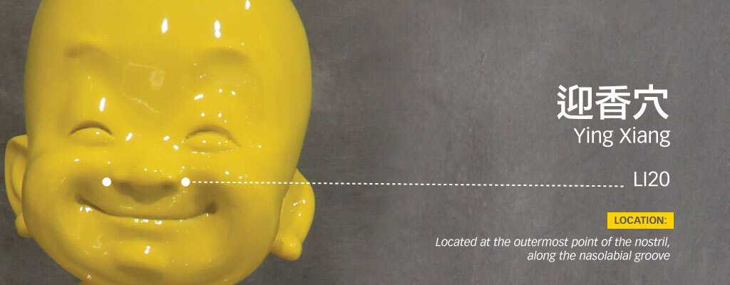 Blog-Sinus-4-Ying-Xiang