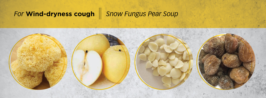 Understanding-Cough-WindDryness