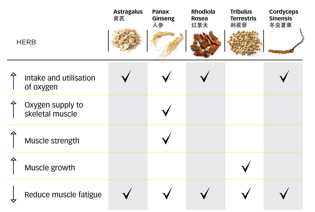 Optimise_Your_Peak_Performance_In_Sports_Through_TCM_6