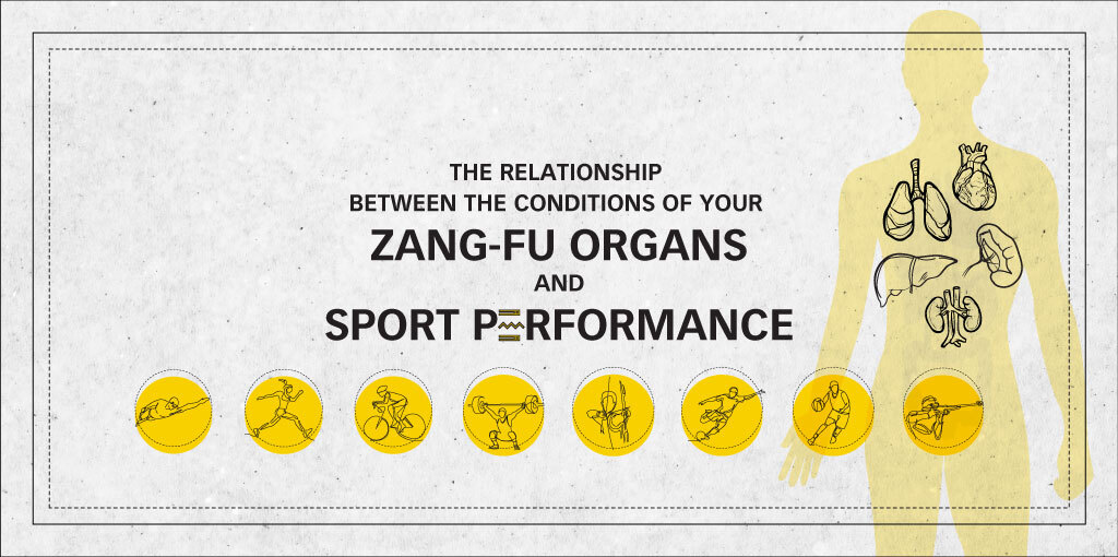 ZangFu-Sports-Performance-2020-Banner