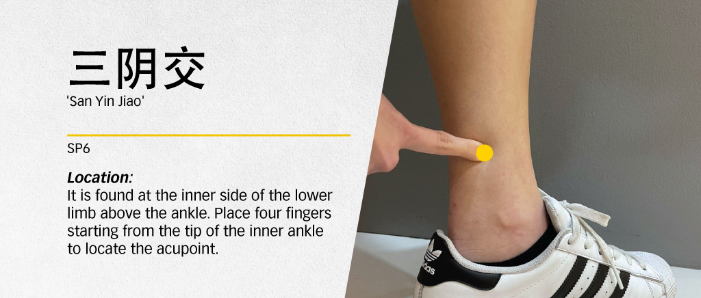 SanYinJiao-Banner