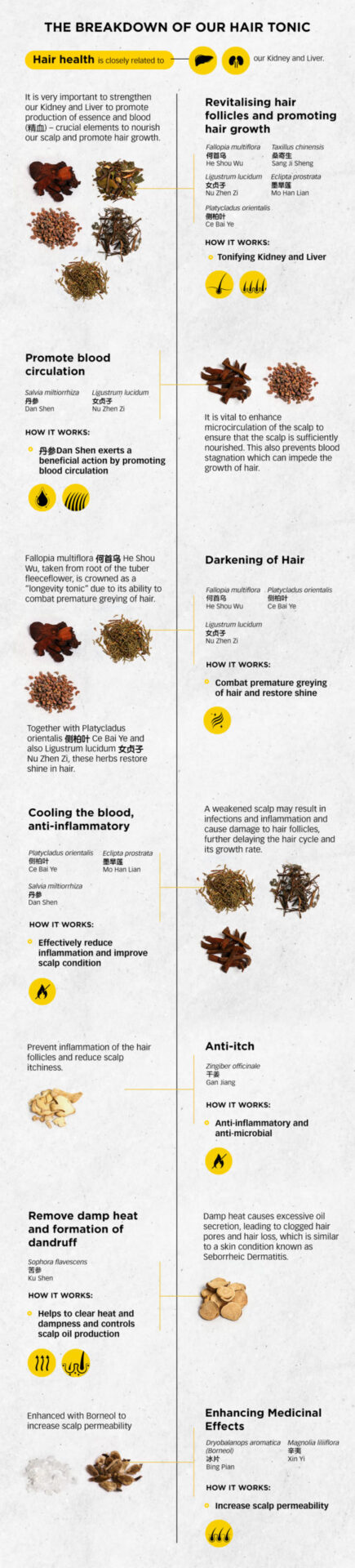 info-The breakdown of our hair tonicBreakdown