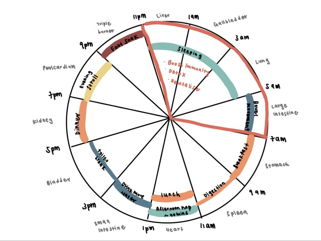 How can TCM help with Post Vaccination Care and Immunity 11