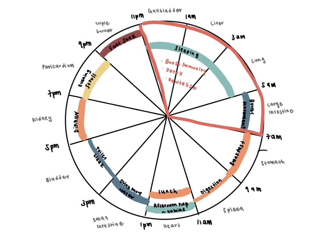 How can TCM help with Post Vaccination Care and Immunity 11 v2