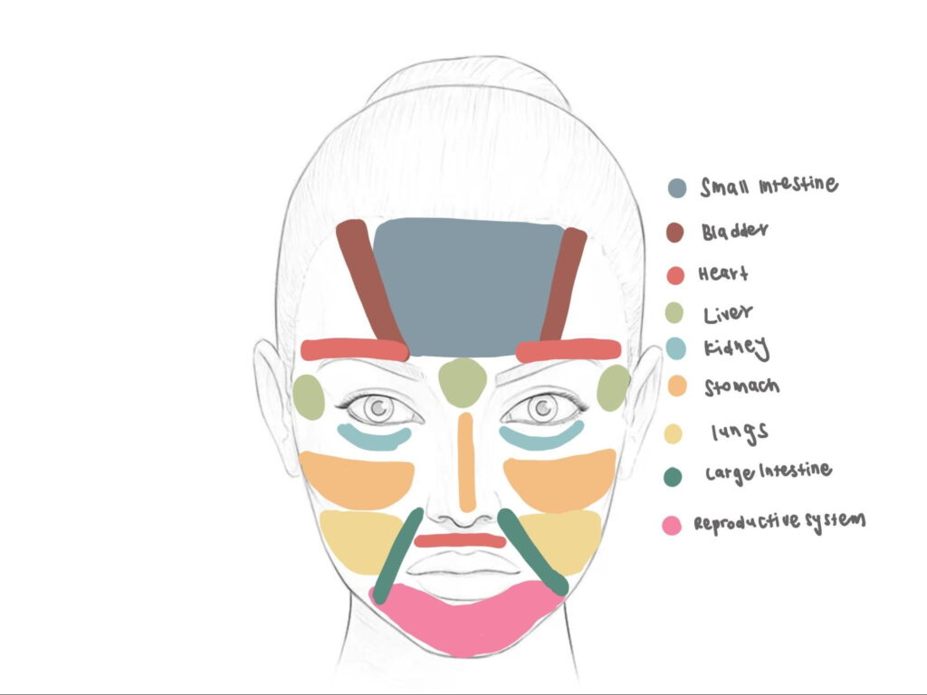 Chinese face mapping for Acne