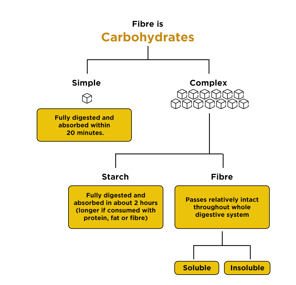 dietary fibre, fibre, health, pulse tcm, gut, gut microbiome