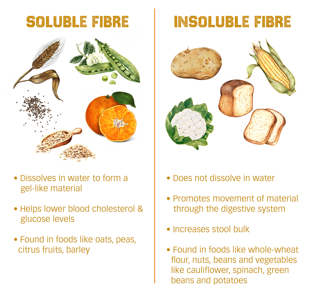 dietary fibre, fibre, health, pulse tcm, gut, gut microbiome