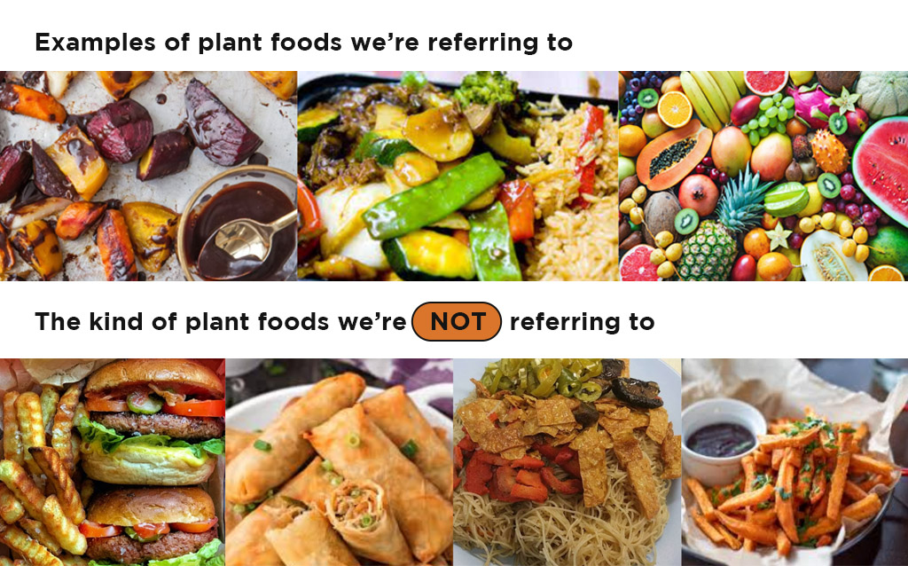 medical nutrition therapy, nutrition, diet, physician, clinical dietitian, pulse tcm, tcm in singapore, fibre