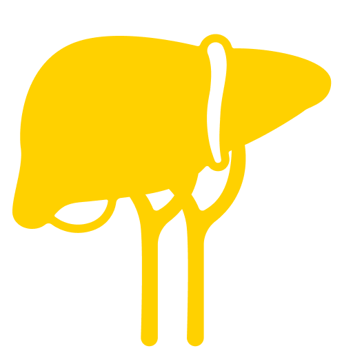 liver graphic